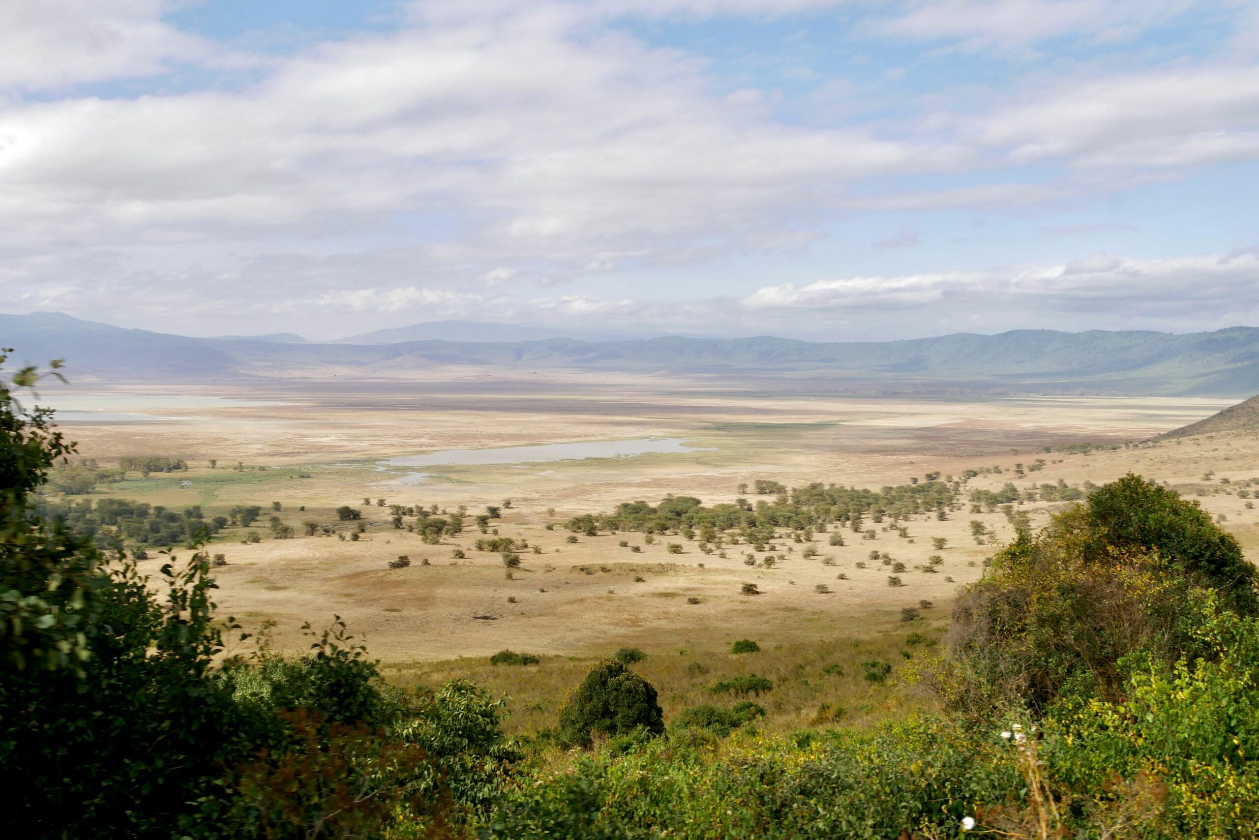A stunning panoramic view of Ngorongoro Crater in Tanzania, showcasing its vast savannah and natural beauty.