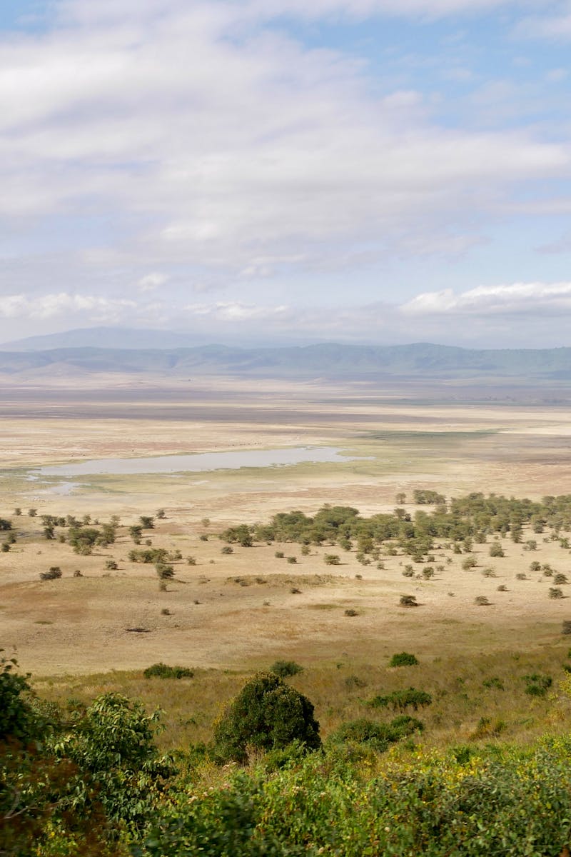 A stunning panoramic view of Ngorongoro Crater in Tanzania, showcasing its vast savannah and natural beauty.