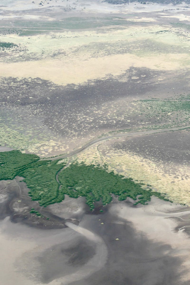 Aerial landscape showing a dried-up lakebed with vibrant green patches in Tanzania's Manyara region.