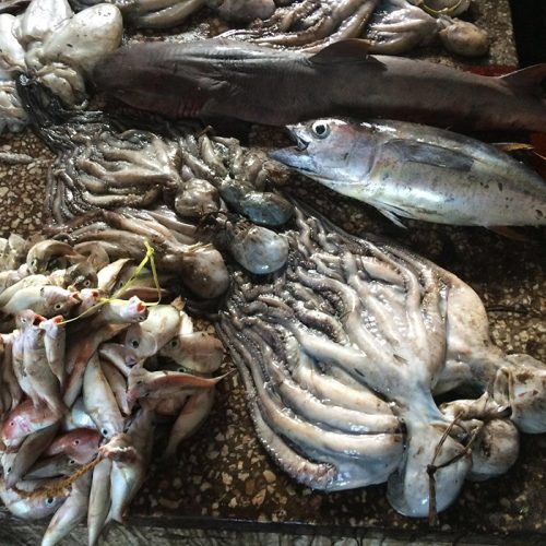 Nungwi-Cultural-Village-Tour-06