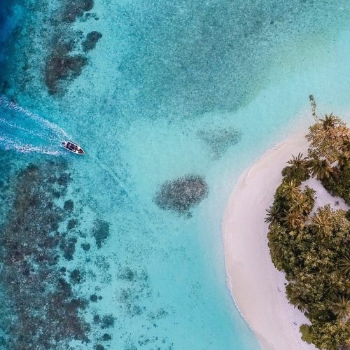 ocean, sea, fish, phone wallpaper, island, mobile wallpaper 4k, mobile wallpaper, lock screen wallpaper, samsung wallpaper, nature, beautiful wallpaper, wallpaper, dream, ipad wallpaper, aesthetic wallpaper, iphone wallpaper